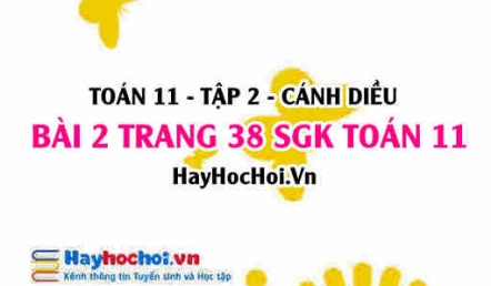 Bài 2 trang 38 Toán 11 tập 2 Cánh Diều